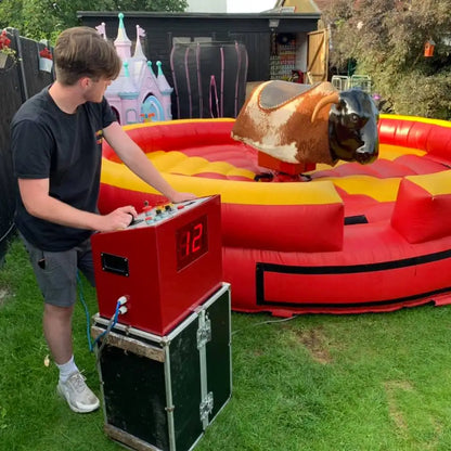 Inflatable Mechanical Bull & pool for sale